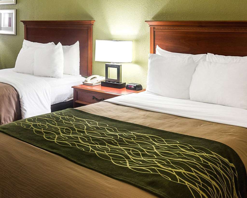 Comfort Inn Newport News - Hampton I-64 Værelse billede